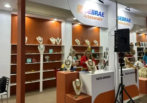 Artesas-mato-grossenses-expoem-pecas-no-22o-Salao-do-Artesanato-em-Sao-Paulo-2_p13664_thumb_resized.webp